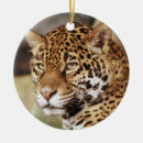 Search for jaguar christmas tree decorations Cat