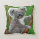 Search for koala baby cushions Adorable