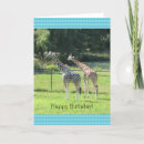 Search for giraffe birthday cards Zoo animals