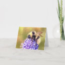 Search for bumblebee cards Flower