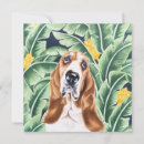 Search for hound note cards Basset