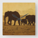 Search for big five art Animals