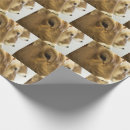 Search for dairy wrapping paper Milk