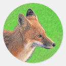 Search for red fox stickers Wild animal