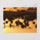 Search for daybreak postcards Dawn