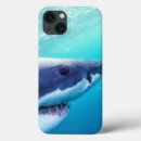 Search for great white shark cases Underwater