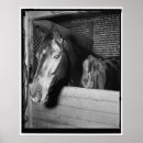 Search for billie posters Vintage