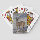 Search for deer playing cards Wildlife