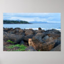 Search for kauai posters Coast