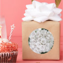 Search for white mountain stickers Nature