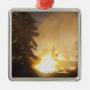 Search for montana christmas tree decorations Yellowstone national park
