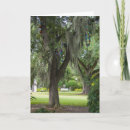 Search for oak tree cards Thinking of you
