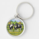 Search for quarters key rings Quarter horse