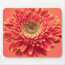 Search for red gerbera electronics Floral
