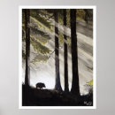 Search for boars posters Forest