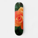 Search for rose flower skateboards Garden