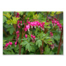 Search for raining day posters Flowers