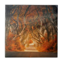 Search for path tiles Autumn