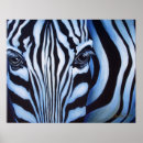 Search for blue zebra posters Stripes