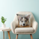 Search for corgi cushions Cute