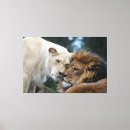 Search for lion canvas prints Cats