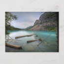 Search for logs postcards National
