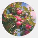 Search for apple trees stickers Food