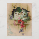 Search for vintage cat postcards Cute