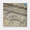 Search for attack square magnets Animal