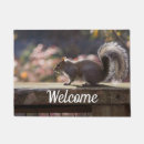 Search for squirrel doormats Photography
