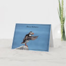 Search for puffin birthday cards Nature