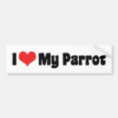 Search for parrot bumper stickers Pet