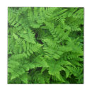 Search for fern leaf tiles Garden