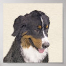 Search for bernese mountain dog puppy posters Cute