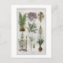 Search for mon postcards Nature