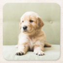 Search for couch coasters Cute