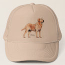 Search for labrador hats Puppies