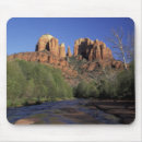 Search for jamie mousepads Nature