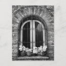 Search for black and white flowers postcards Red