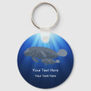 Search for manatee underwater Florida