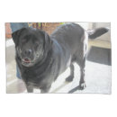 Search for labrador pillowcases Cute