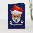 Search for welsh corgi christmas cards Santa