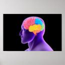 Search for neuroscience posters Biology