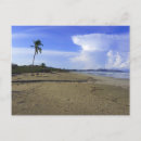 Search for palm tree postcards Seaside