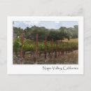Search for vineyard postcards Beverage