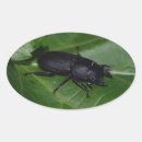 Search for beetle stickers Bug