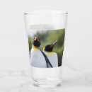 Search for penguins tumblers Wildlife