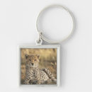 Search for specie key rings Environment