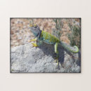 Search for lizard puzzles Reptile