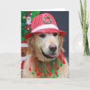 Search for fedora cards Pet